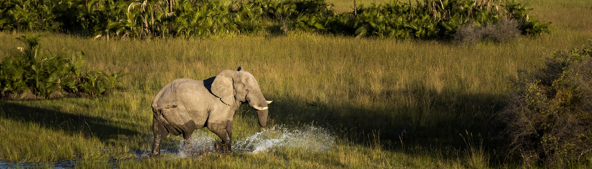 Africa Voyage