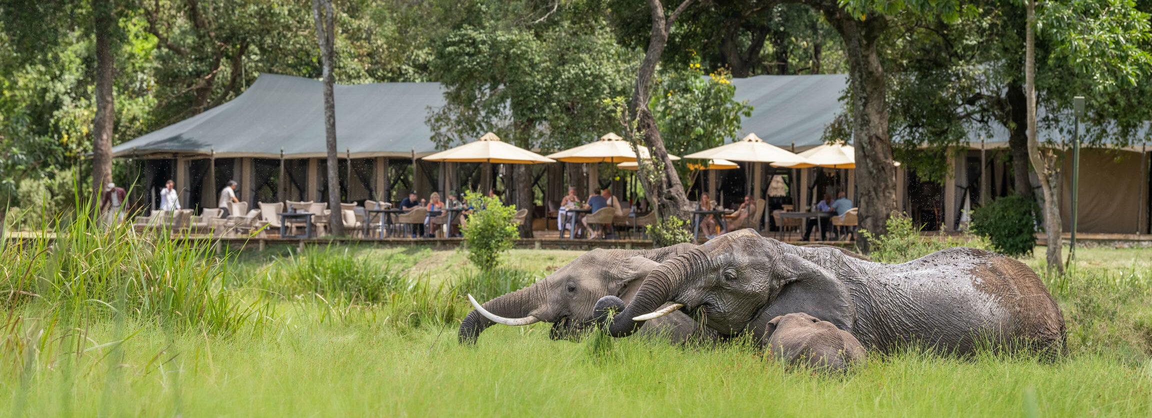Africa Voyage