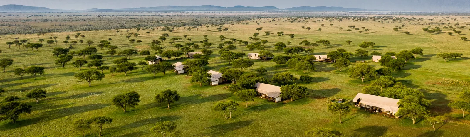 Africa Voyage
