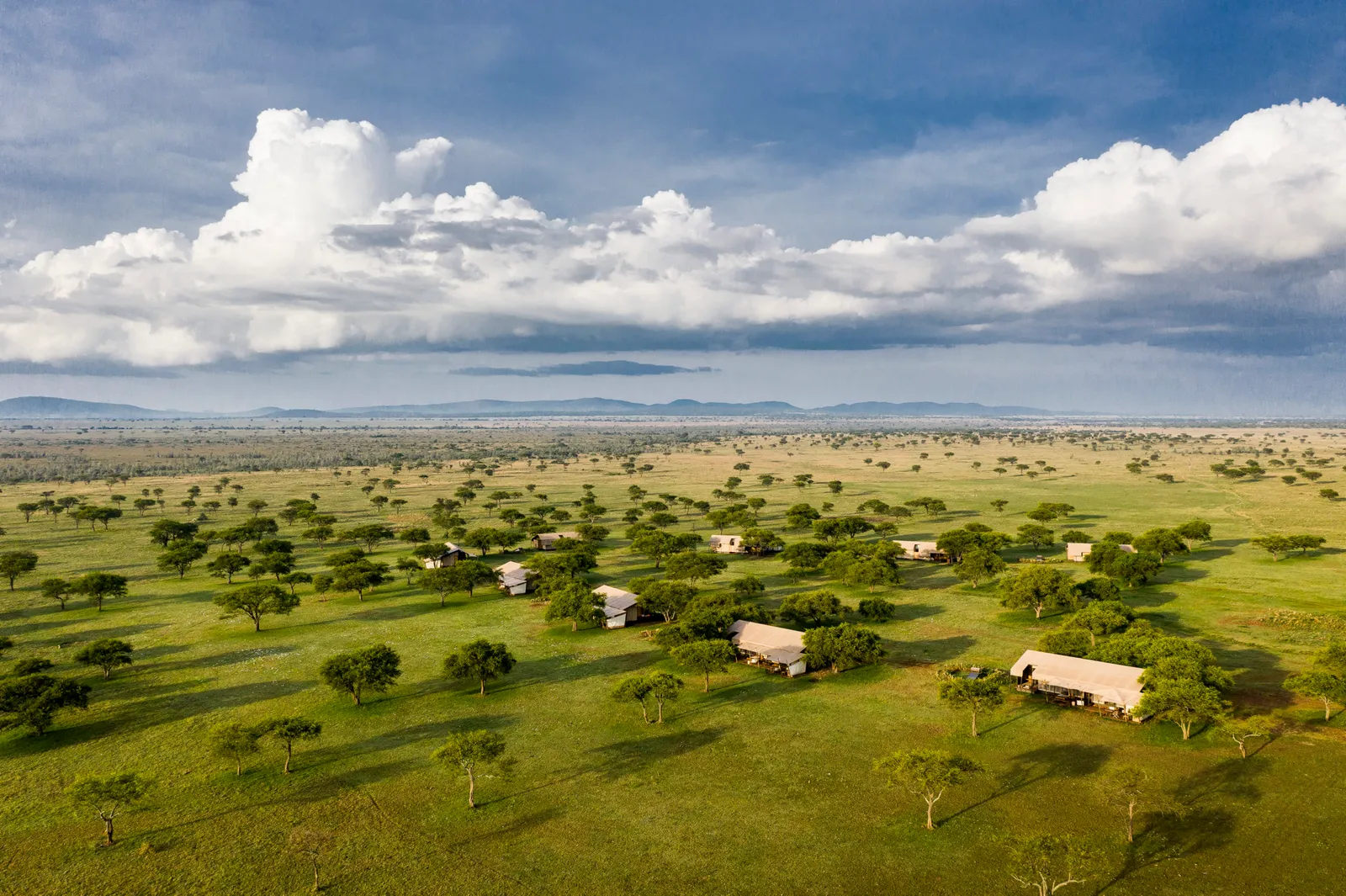 Africa Voyage