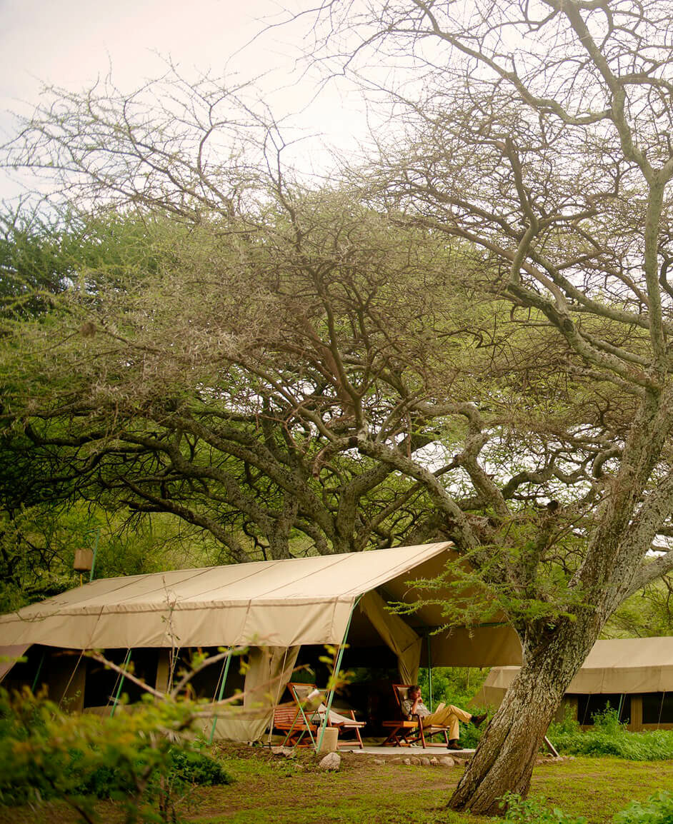 Africa Voyage