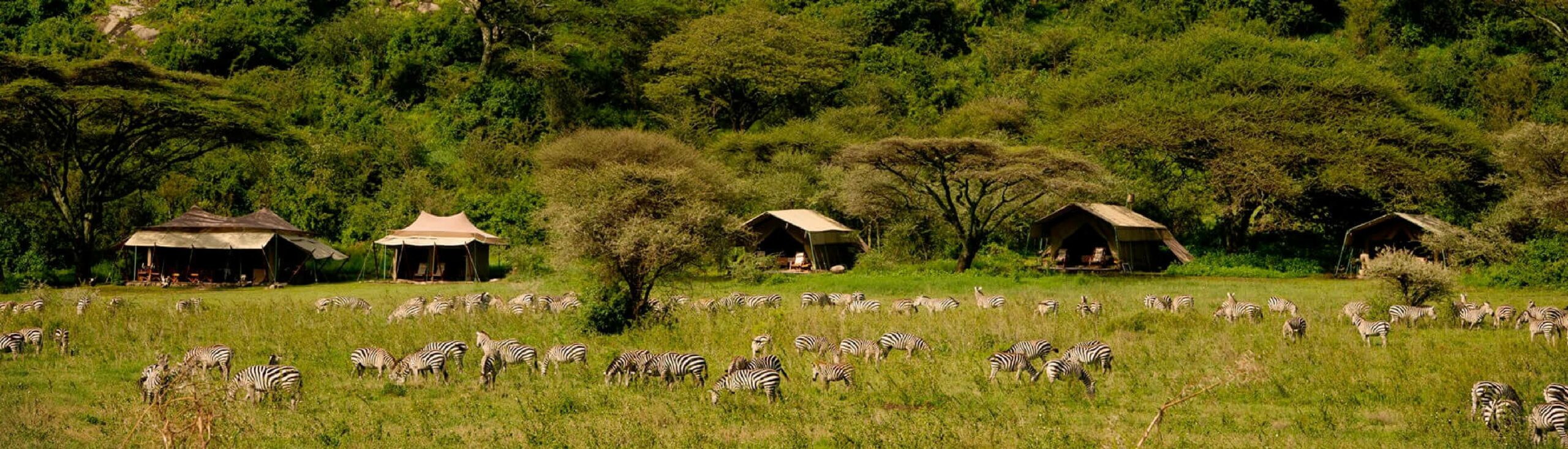 Africa Voyage