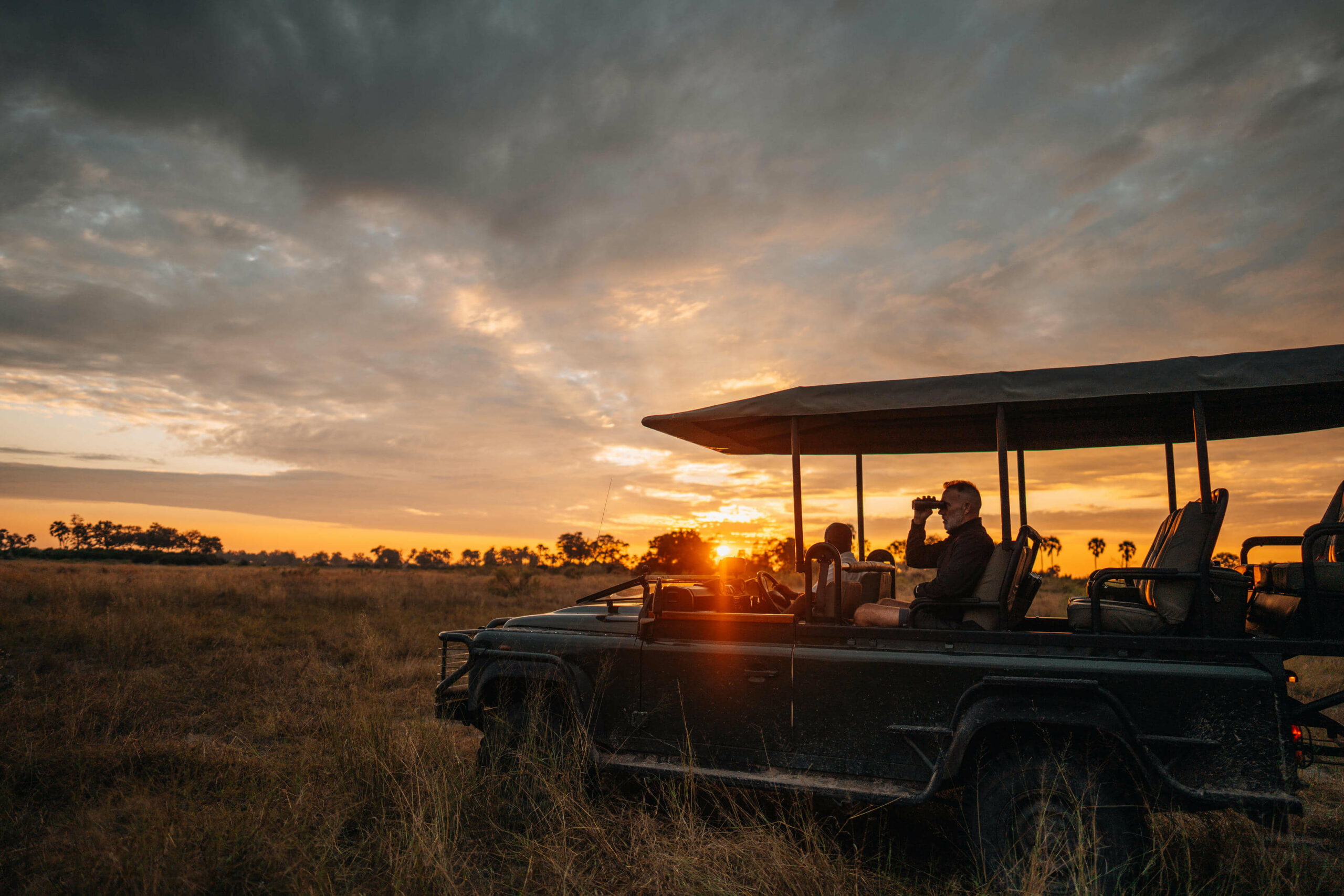 Services & activités