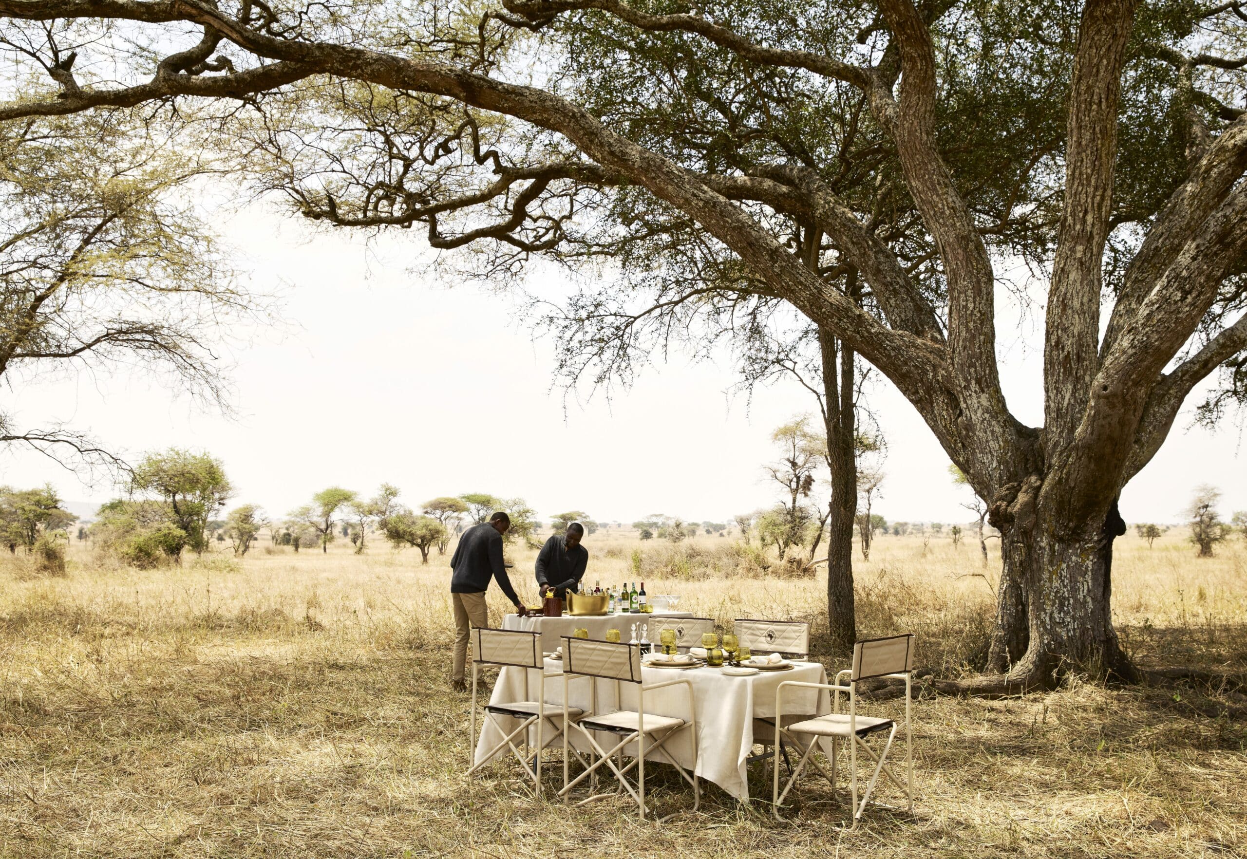 Services & activités