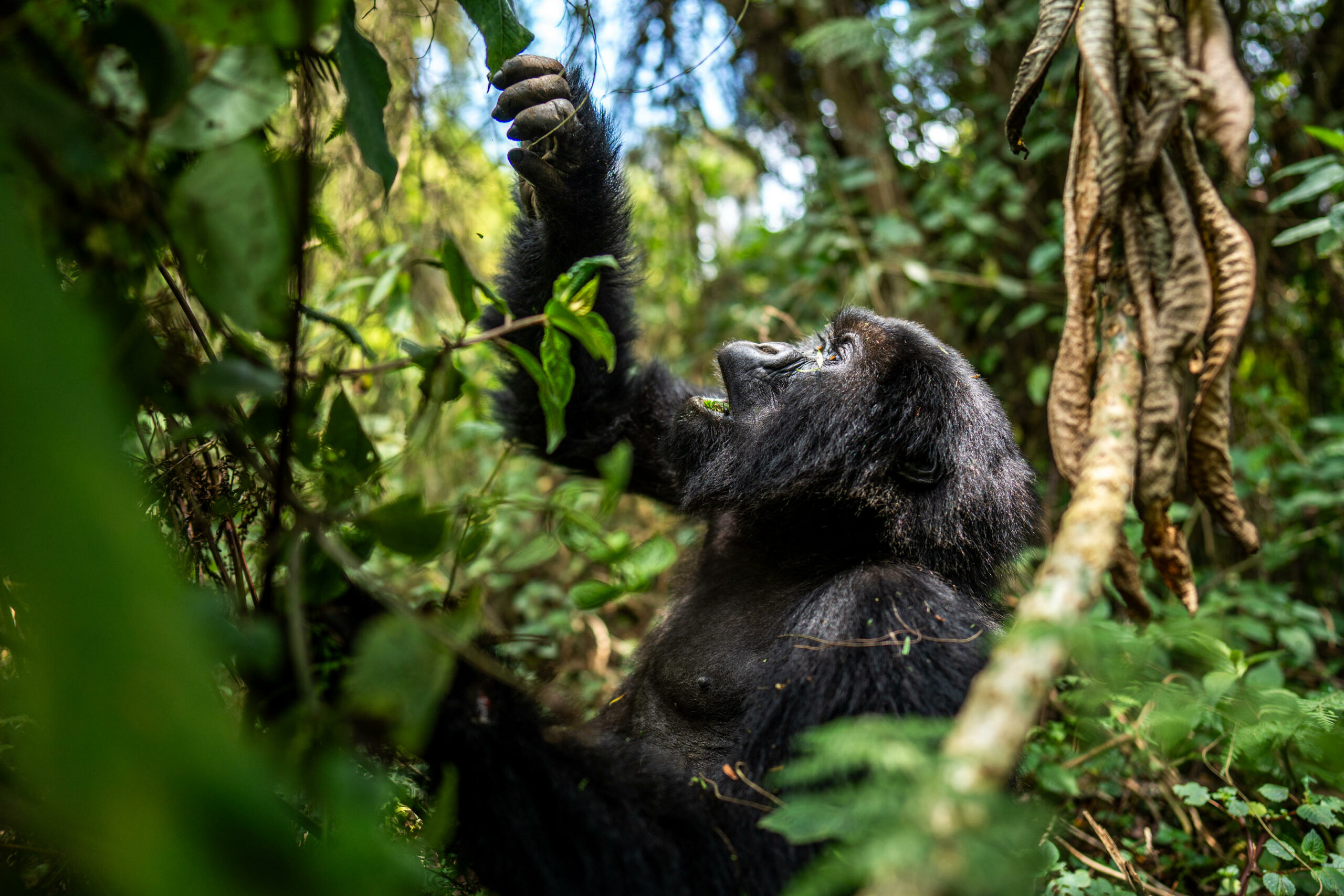 Services & activités